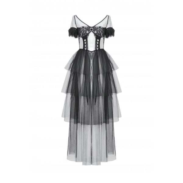 Dark In Love Ethereal Enchantment Gothic Sheer Dress