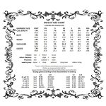 Dark In Love Kaira Long Sleeve Black Gothic Dress