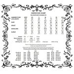 Dark In Love Kassandra Gothic Velvet Ruffle Dress