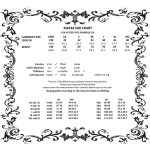 Dark In Love Elysia Black Gothic Skater Skirt