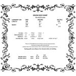 Dark In Love Victoria Black Skirt