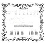 Dark In Love Bat Gothic Puffy Skirt