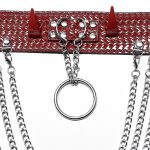 Punk Rave Andromeda Choker (RD)