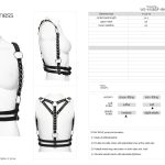 Punk Rave Lucinda Black Harness