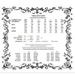 Dark In Love Enchantress Fishnet Gothic Top