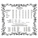 Dark In Love Hollow Ruffle & Sheer Gothic Top