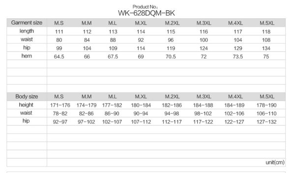 Punk Rave Zephyr Flare Pants